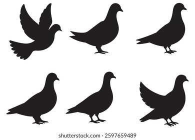 dove vector art silhouette design