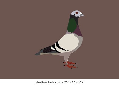 a dove vector clip art silhouette