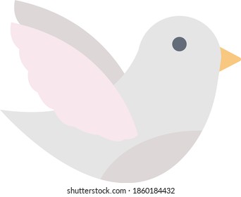 dove vector flat colour icon