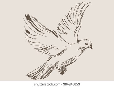 dove vector, hand draw sketch 