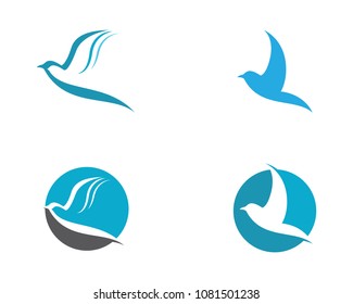 Dove vector icon