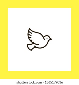 dove vector icon. flat design