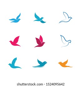 Dove vector icon illustration design