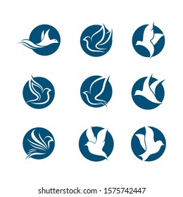 Dove vector icon illustration design