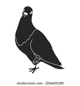 Dove vector icon.Black vector icon isolated on white background dove.