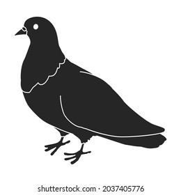 Dove vector icon.Black vector icon isolated on white background dove.