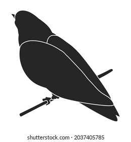 Icono del vector de la paloma.Icono del vector negro aislado en paloma de fondo blanco.