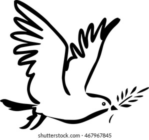 Dove vector illustration