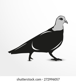 Dove. Vector illustration. Animal collection.