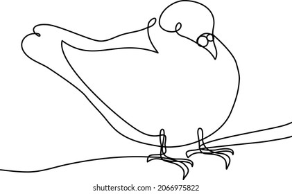 Dove vector illustration isolated on white background.