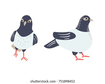 Dove vector illustration profile and full face white background isolated