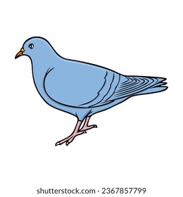 ilustración vectorial de paloma, aislada en fondo blanco, vista superior