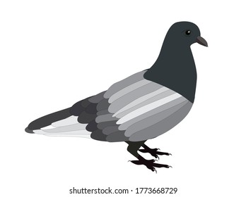 Imagen vectorial de la unidad aislada en fondo blanco. Ilustración vectorial. EPS10