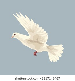 Dove vector isolated on white