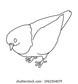 Dove vector outline icon. Vector illustration pigeon on white background. Isolated outline illustration icon of dove .