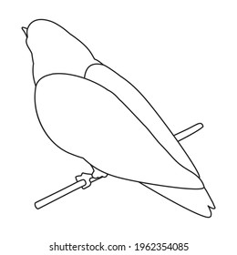 Dove vector outline icon. Vector illustration pigeon on white background. Isolated outline illustration icon of dove .