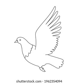 Dove vector outline icon. Vector illustration pigeon on white background. Isolated outline illustration icon of dove .