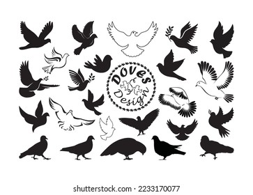 Dove vector For Print, Dove vector Clipart, Dove vector Illustration