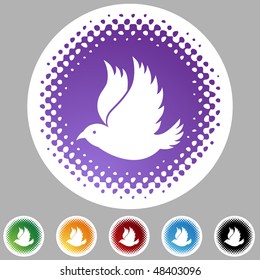 Dove web button isolated on a background