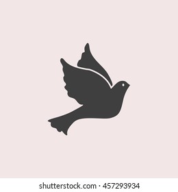 Dove web icon. Isolated illustration