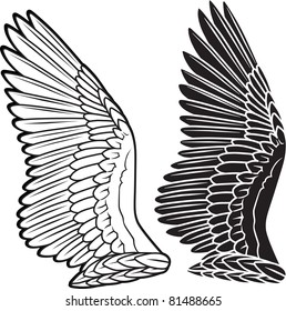 Dove wings