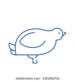 Dove,quail line icon concept. Dove,quail flat  vector symbol, sign, outline illustration.
