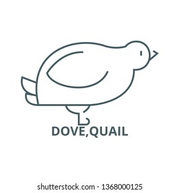 Dove,quail line icon, vector. Dove,quail outline sign, concept symbol, flat illustration