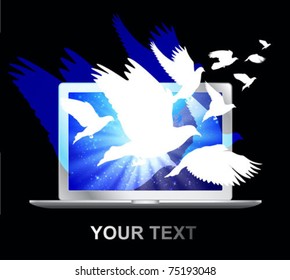 doves fly from laptop screen