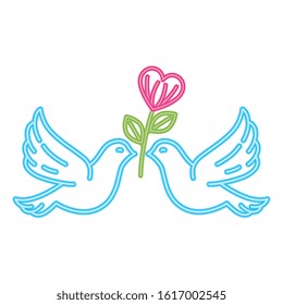 doves with heart in neon light on white background vector illustration design