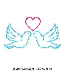 doves with heart in neon light on white background vector illustration design