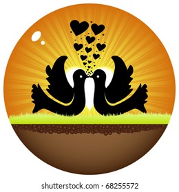 doves in love