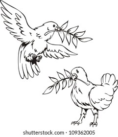 Doves with olive branches. Set of black and white vector illustrations.