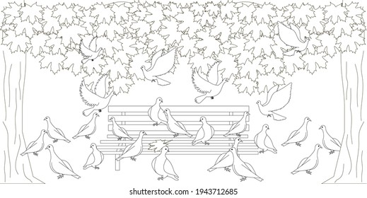 Doves on bench maple tree park monochrome sketch art design elements stock vector illustration for web, for print, for coloring page