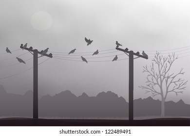 The doves on a gray background