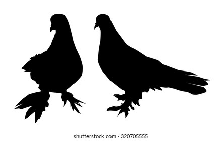 Doves Silhouette Vector