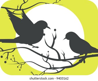  doves in sun	