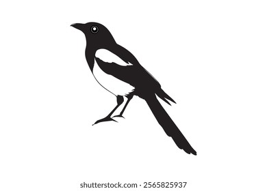 Dowel bird vector illustration white background