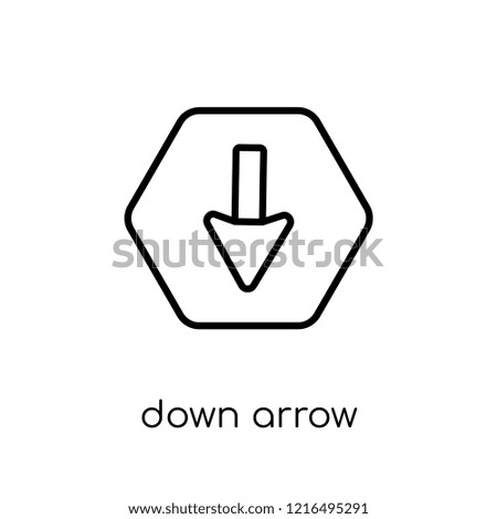 down arrow icon. Trendy modern flat linear vector down arrow icon on white background from thin line collection, outline vector illustration