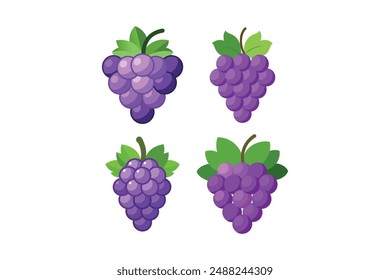 Download Premium Grape Vector Art Collections