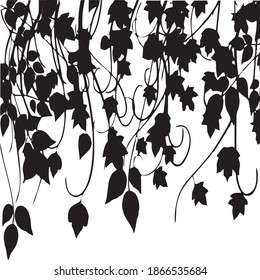 Download Silhouette Leaves Design for free illustration, plant, nature, background, leaf, design, black, pattern, floral, silhouette, art, abstract, tree, graphic, vector, white, branch, isolated, wal