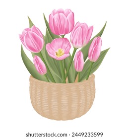 Download this hand-drawn spring flower illustration featuring delicate pink tulips.