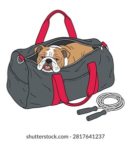 Downtrodden bulldog inside gray gym bag with red straps, jump rope lying next to it, pet after workout.