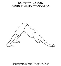 Downward dog yoga workout. Adho Mukha Svanasana. Man doing yoga illustration outline on the white background. Vector illustration