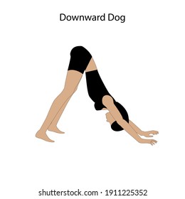 Downward dog yoga workout silhouette on the white background. Vector illustration