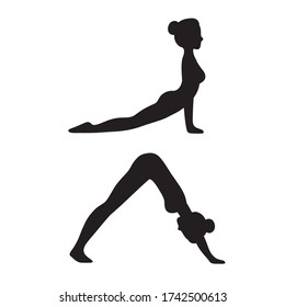 Downward facing dog (Adho mukha svanasana) and Upward facing dog (Urdhva mukha svanasana) yoga pose. Slim young woman in yoga asana, simple black and white drawing. Isolated vector illustration.