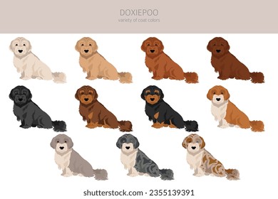 Doxiepoo clipart. Dachshund Poodle mix. Different coat colors set.  Vector illustration