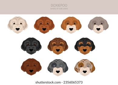 Doxiepoo clipart. Dachshund Poodle mix. Different coat colors set.  Vector illustration