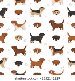 Padrão sem emenda Doxle. Dachshund - Mistura Beagle. Diferentes cores de casaco definido.  Ilustração vetorial