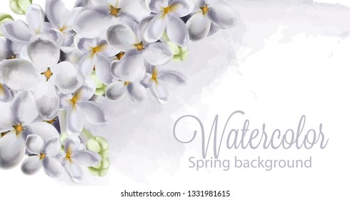 Dpring hydrangea flowers Vector. Romantic floral idelicate decoration. Women day, Valentines Day, sales and other events