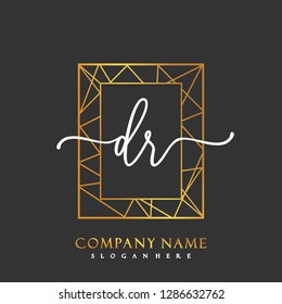 DR Initial Handwriting logo template vector